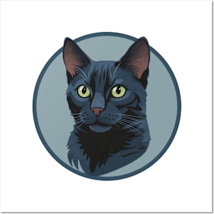 Russian Blue cat Posters and Art